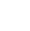 Group subsidiary